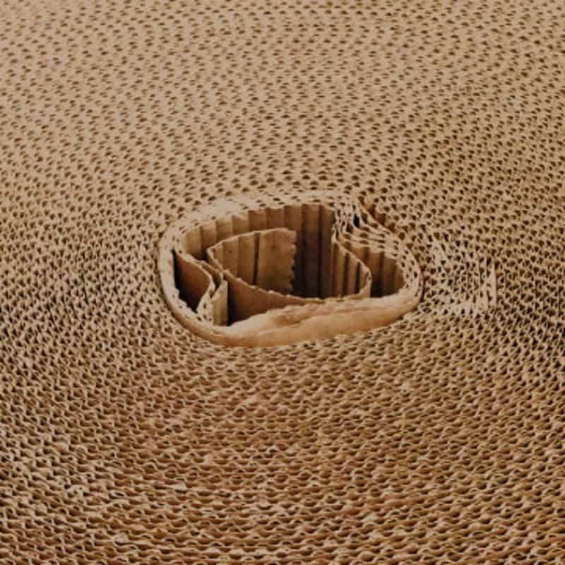 Cartón ondulado en bobinas